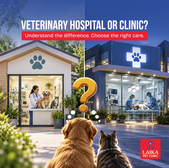 What Is the Difference Between a Veterinary Hospital and a Veterinary Clinic?
